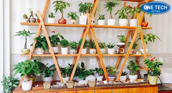 Kệ trưng bày cây cảnh nhiều tầng thiết kế tháo lắp dễ dàng