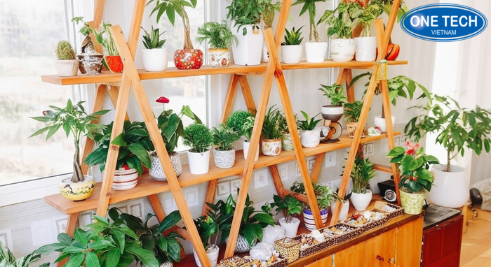 Giá kệ trưng bày cây cảnh sắt sơn tĩnh điện chắc chắn dễ phối không gian